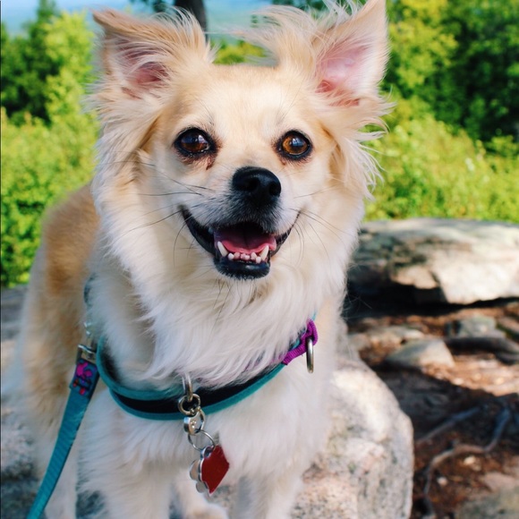 Meet your Posher, Jimmy - Picture 1 of 1